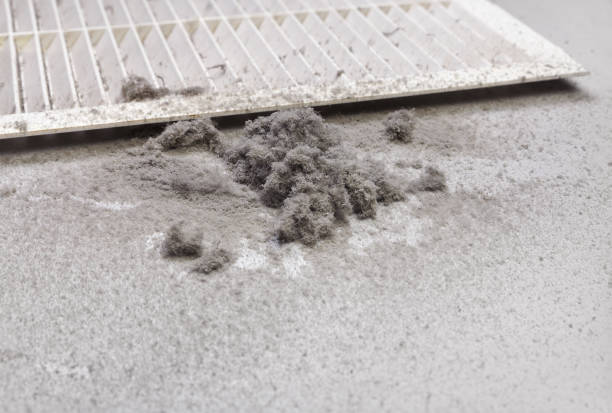 Best Professional Duct Cleaning Services  in Lden, MA