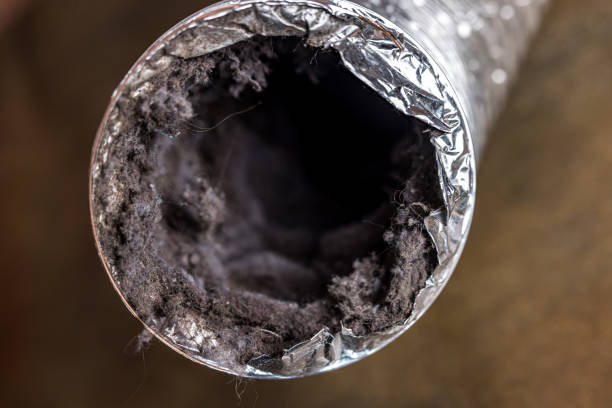 Best Ventilation Cleaning Services  in Lden, MA